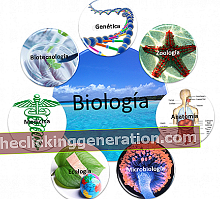 Definicija bioloških znanosti