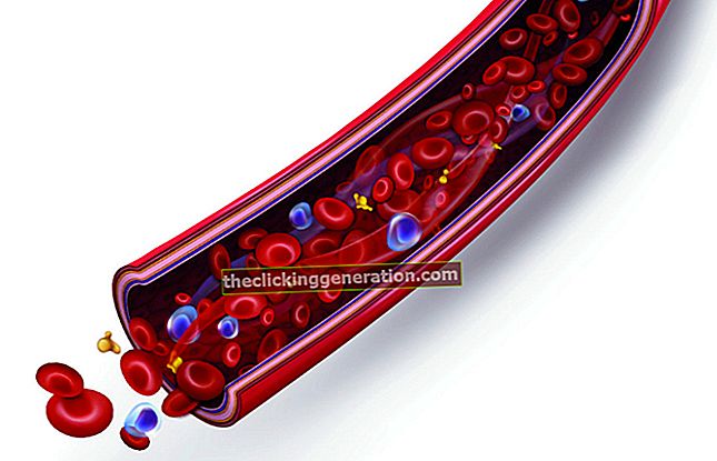 Definicija krvnih tkiva