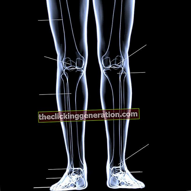 Definicija kostiju nogu