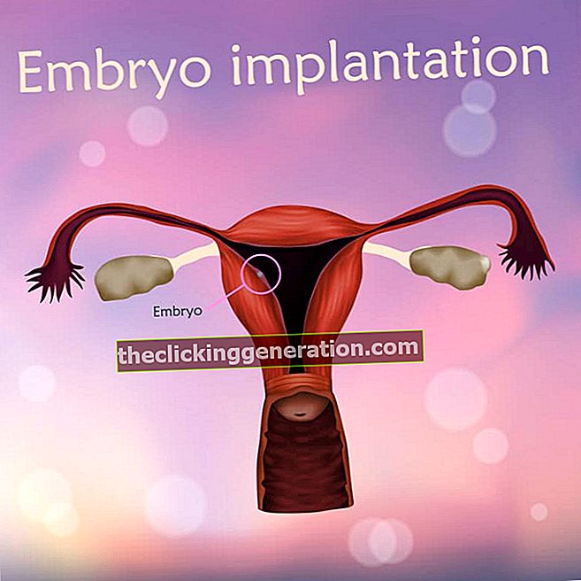 Gniježđenje ili implantacija embrija - definicija, pojam i što je to