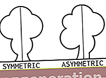 Definicija asimetrije