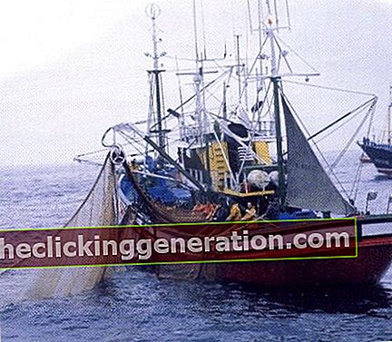 הגדרת דיג ים
