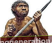 A Homo erectus meghatározása